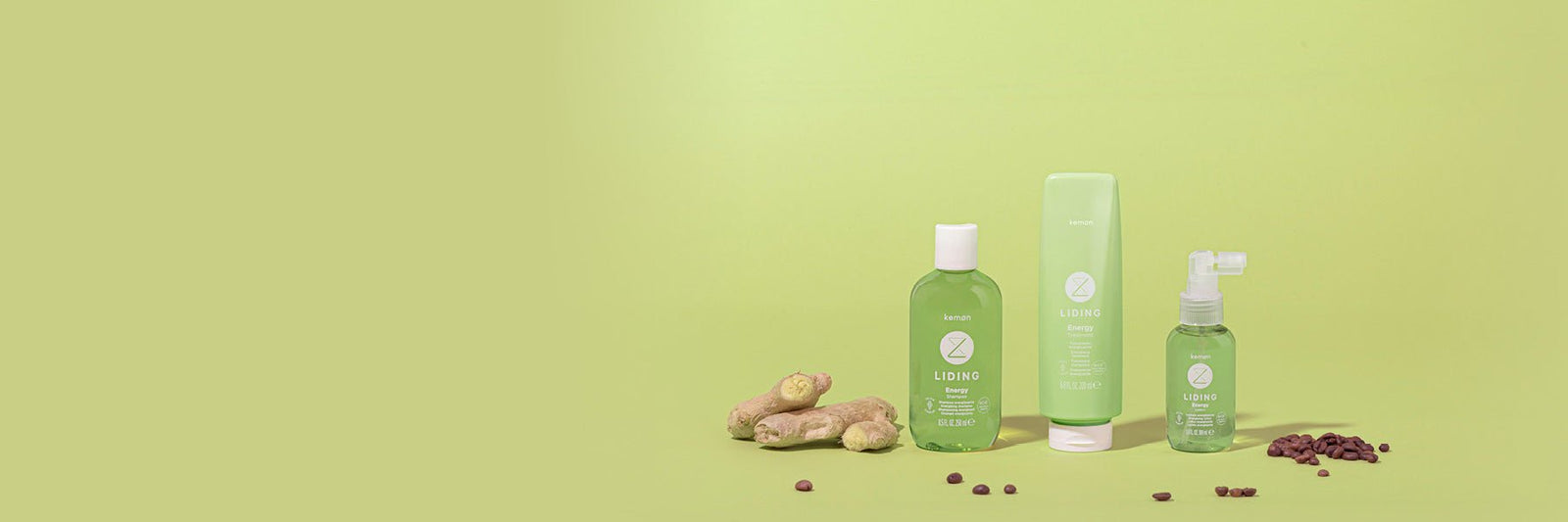 LIDING ENERGY - Kemon